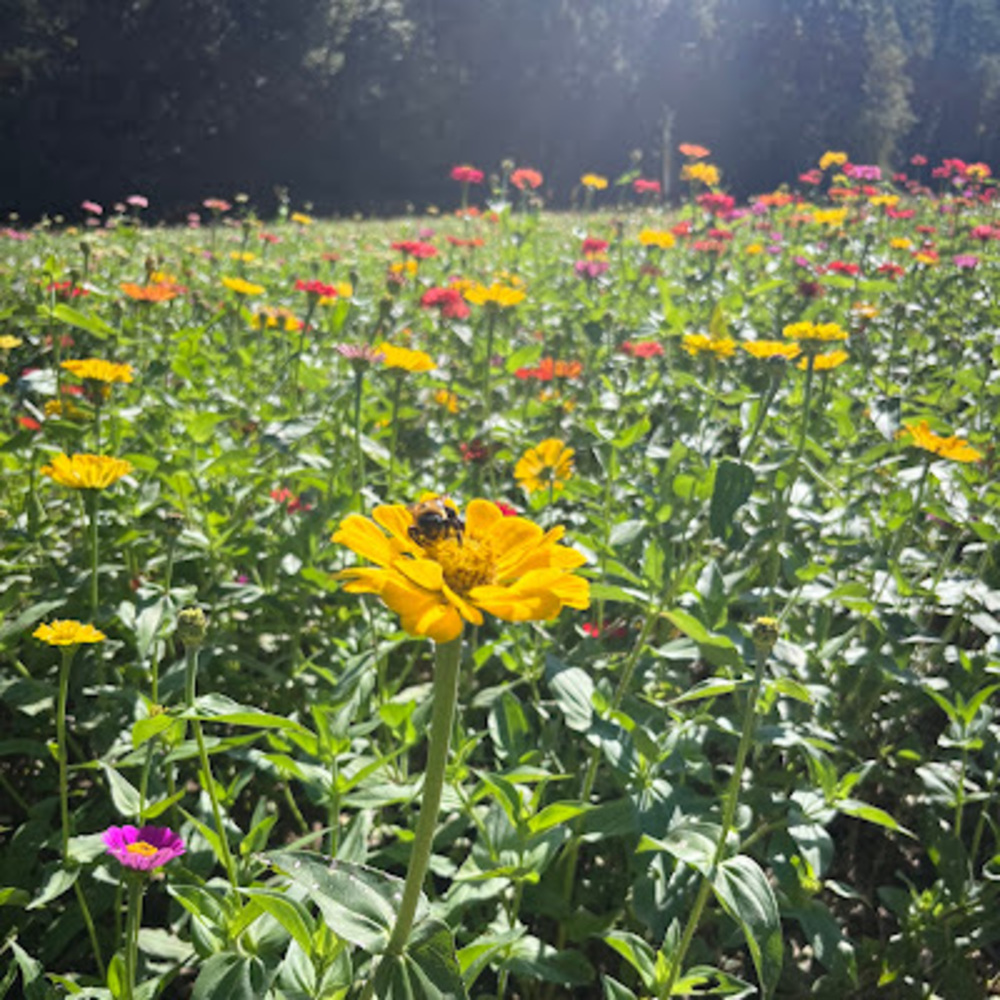 Meet your Posher, Teagan